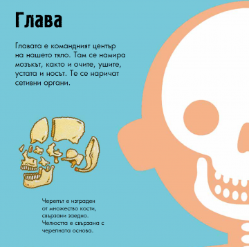 Човешкото тяло. Панорамна книжка