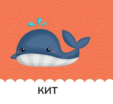 Книжка за баня: МОРЕТО Книжка за баня: МОРЕТО