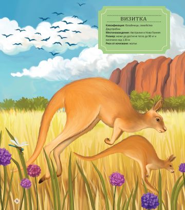 20 Необикновени чудеса от животинския свят