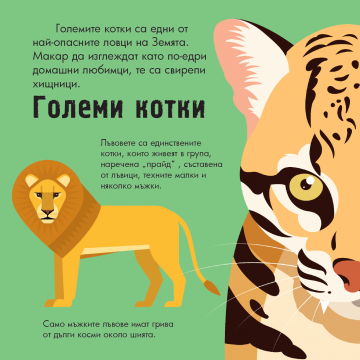 Диви животни. Панорамна книжка