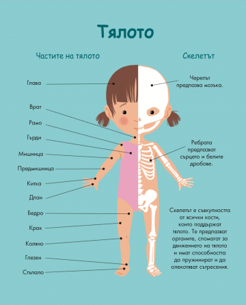 Енциклопедия за най-малките. Моето тяло