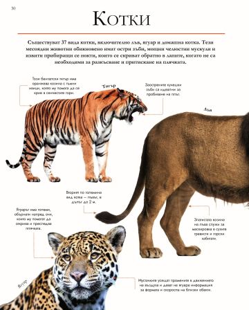 За най-любознателните: ЖИВОТНИТЕ