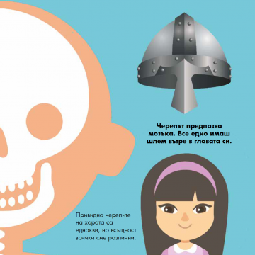 Човешкото тяло. Панорамна книжка