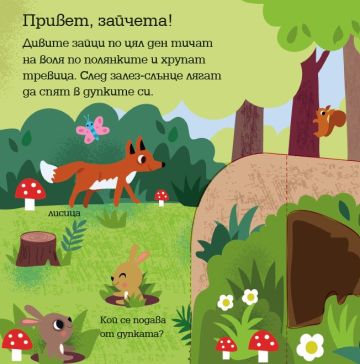 Панорамна книжка: Животните в гората