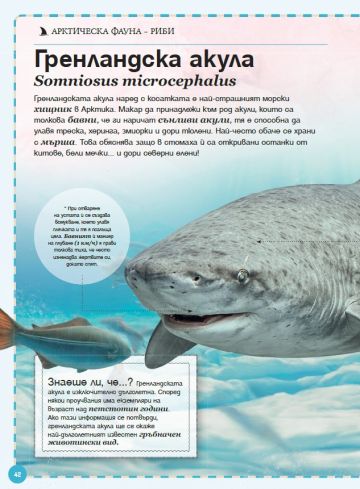 Голяма книга на полярните животни