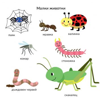100 животни