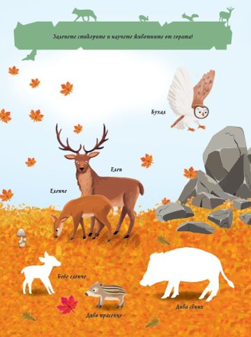 Книжка със забавни игри и упражнения. ГОРАТА