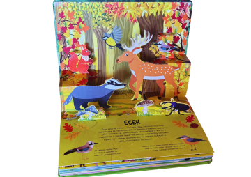 Панорамна книжка: ГОРА Панорамна книжка: ГОРА