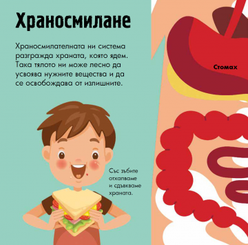 Човешкото тяло. Панорамна книжка