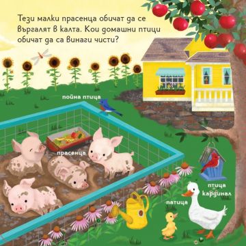 Книга с капачета. Какво има във фермата