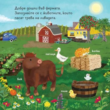 Книга с капачета. Какво има във фермата