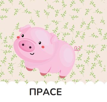 Книжка за баня: ФЕРМАТА