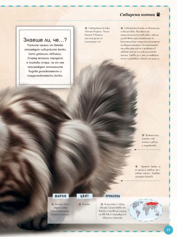 Голяма книга на котките