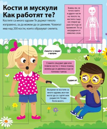 ЛЮБОЗНАЙКО: Човешкото тяло