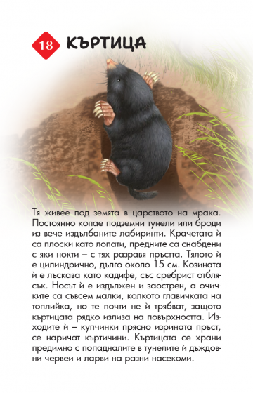 100 животни от България. Образователни карти