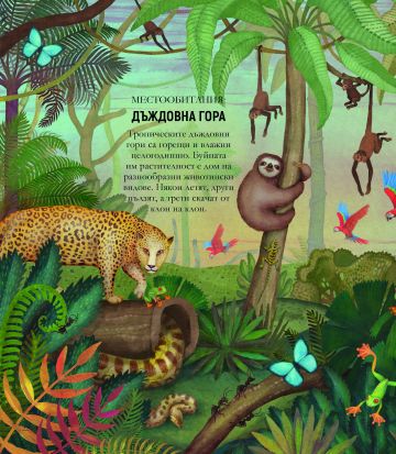 Музей на чудесата: ЖИВОТНИТЕ. Интереси факти и забавни задачи