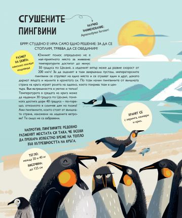 ЗАЕДНО: Да се научим от животните да си помагаме