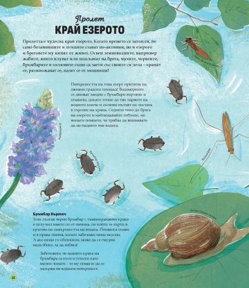 Животни, растения, сезони: Годишният кръговрат на живата природа