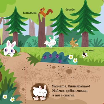 Панорамна книжка: Животните в гората