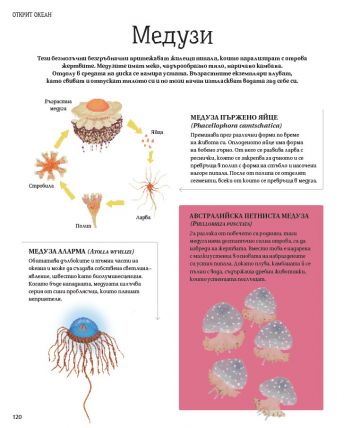 Илюстрована енциклопедия на животните