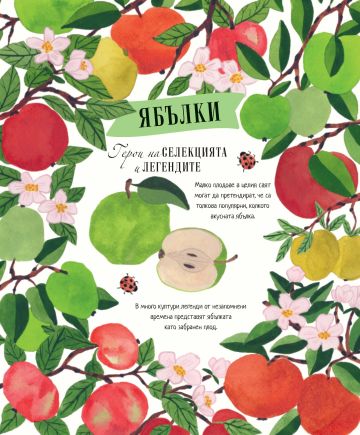 ДВОР
