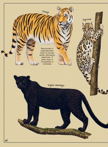 Тайнственият свят на природата: пътеводител из миналото на нашата планета