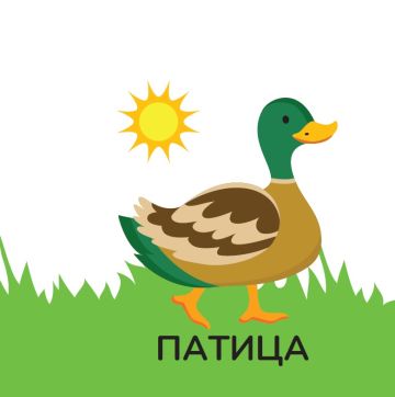 Книжка за баня: ФЕРМАТА