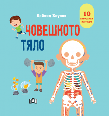 Човешкото тяло. Панорамна книжка
