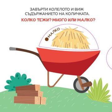 Трите прасенца. Открий противоположностите!