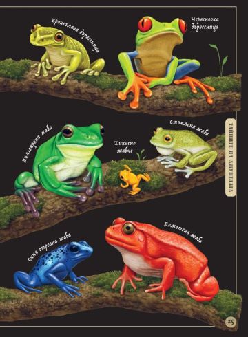 Тайнственият свят на природата: пътеводител из миналото на нашата планета