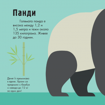 Диви животни. Панорамна книжка