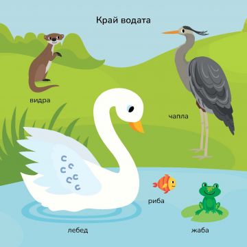 100 животни