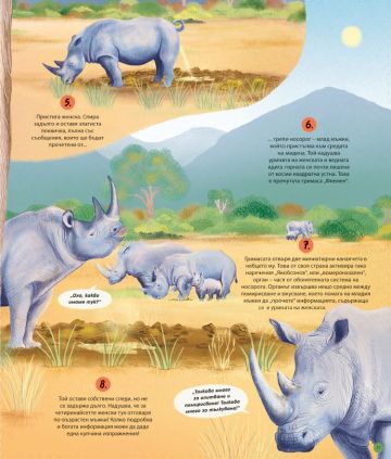 Как говорят животните и растенията: 48 истории за тайния език на природата