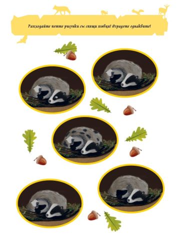 Книжка със забавни игри и упражнения. ГОРАТА