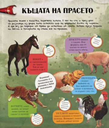 Вълшебно фенерче. Животните от фермата