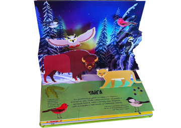 Панорамна книжка: ГОРА Панорамна книжка: ГОРА