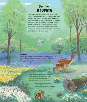 Животни, растения, сезони: Годишният кръговрат на живата природа